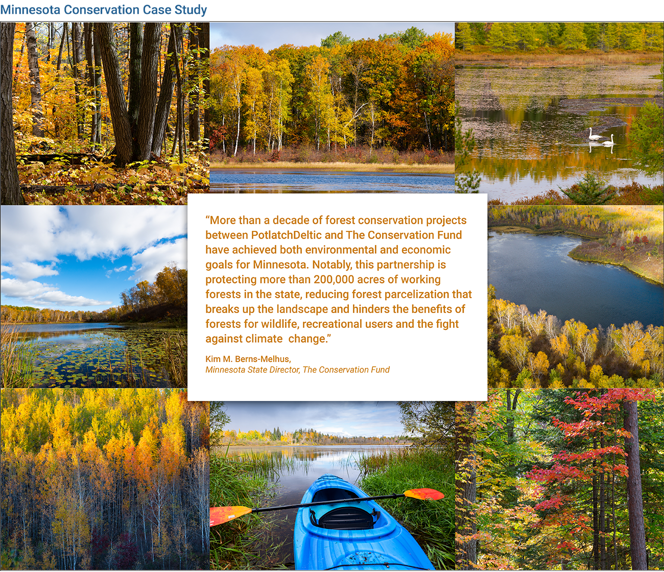 Lakes and forests image