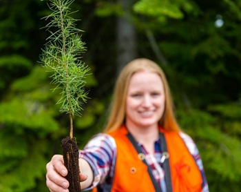 Woman holding seedling