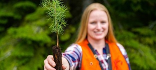 Woman holding seedling