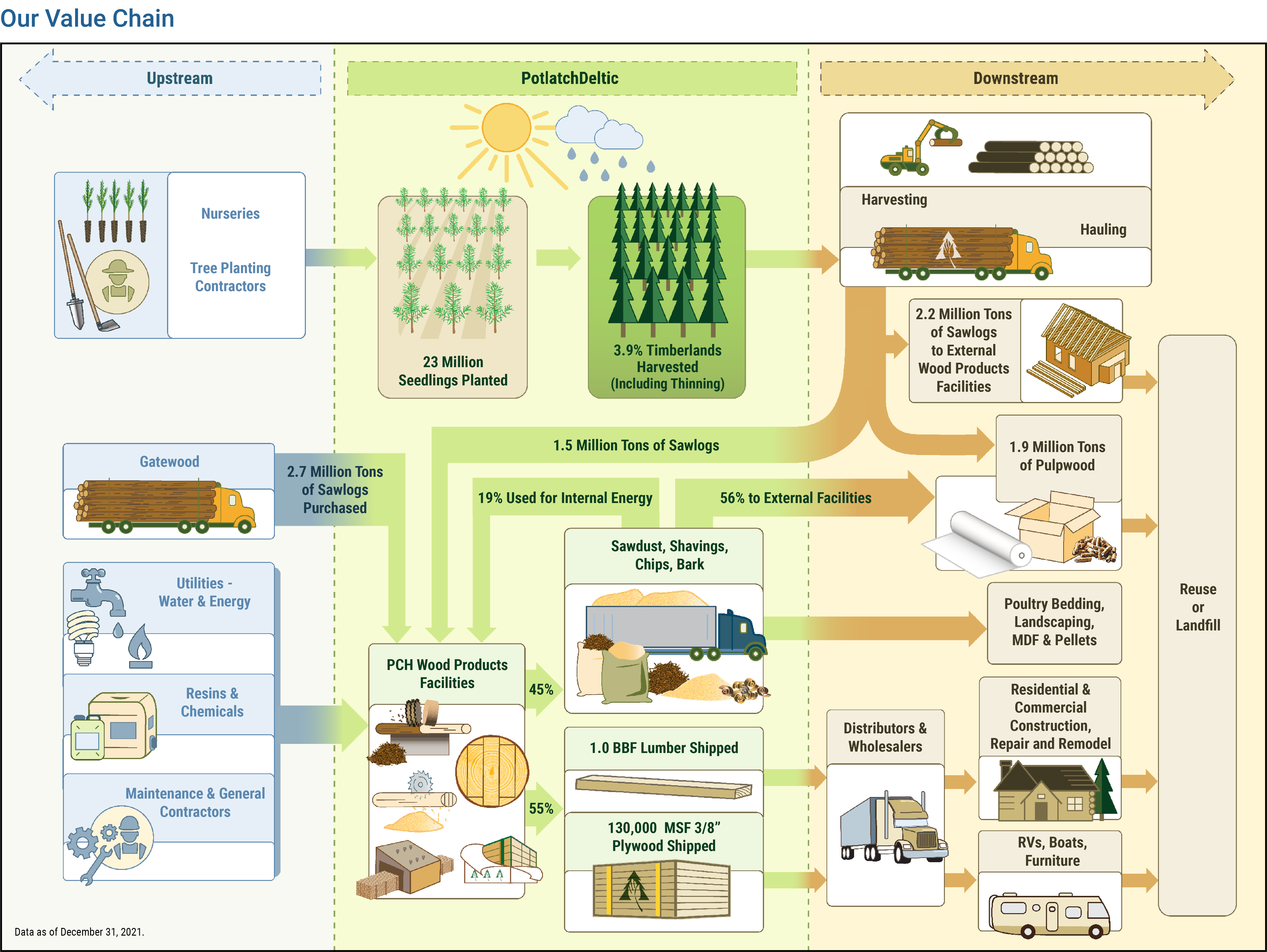 PotlatchDeltic ESG Our Value Creation Process